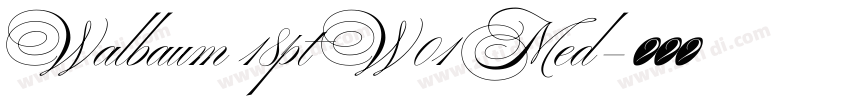 Walbaum 18pt W01 Med字体转换
